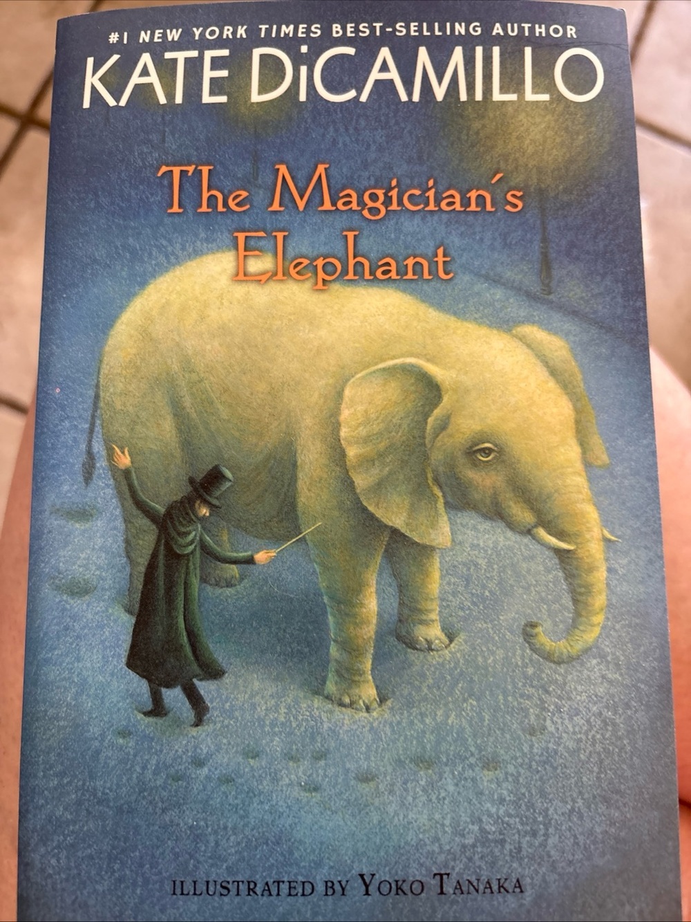 Scholastic The Magician's Elephant Book Cover - Blue and Yellow Illustration